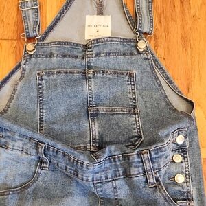 Celebrity Pink Blue Denim Overalls